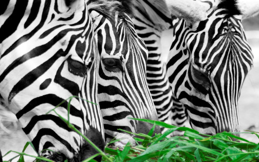 501012 (a): :2560x1600